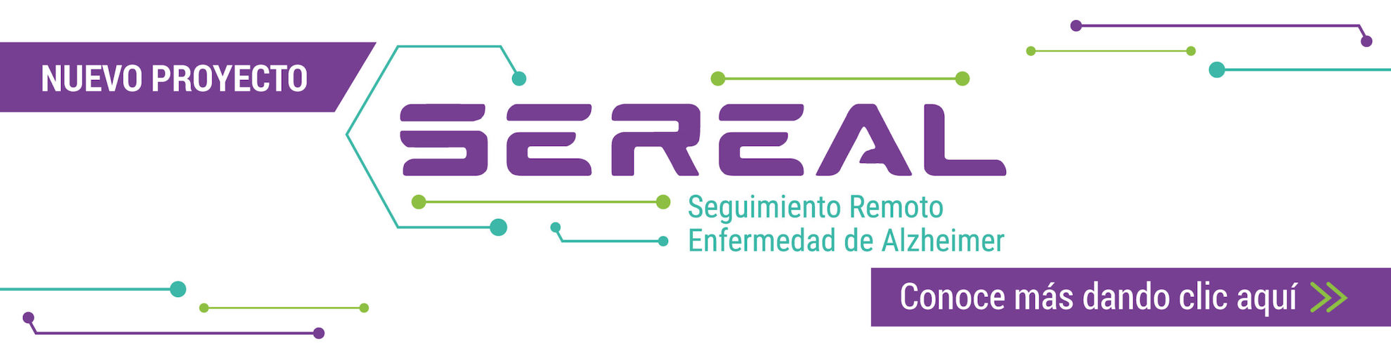 Nuevo Proyecto SEREAL